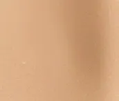 Light Ivory Neutral - 46136