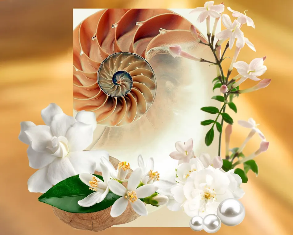 Perfumes elegantes e sofisticados da Oriflame que transformam qualquer look