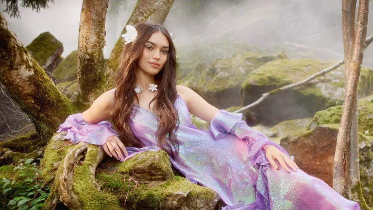 estilo fairycore