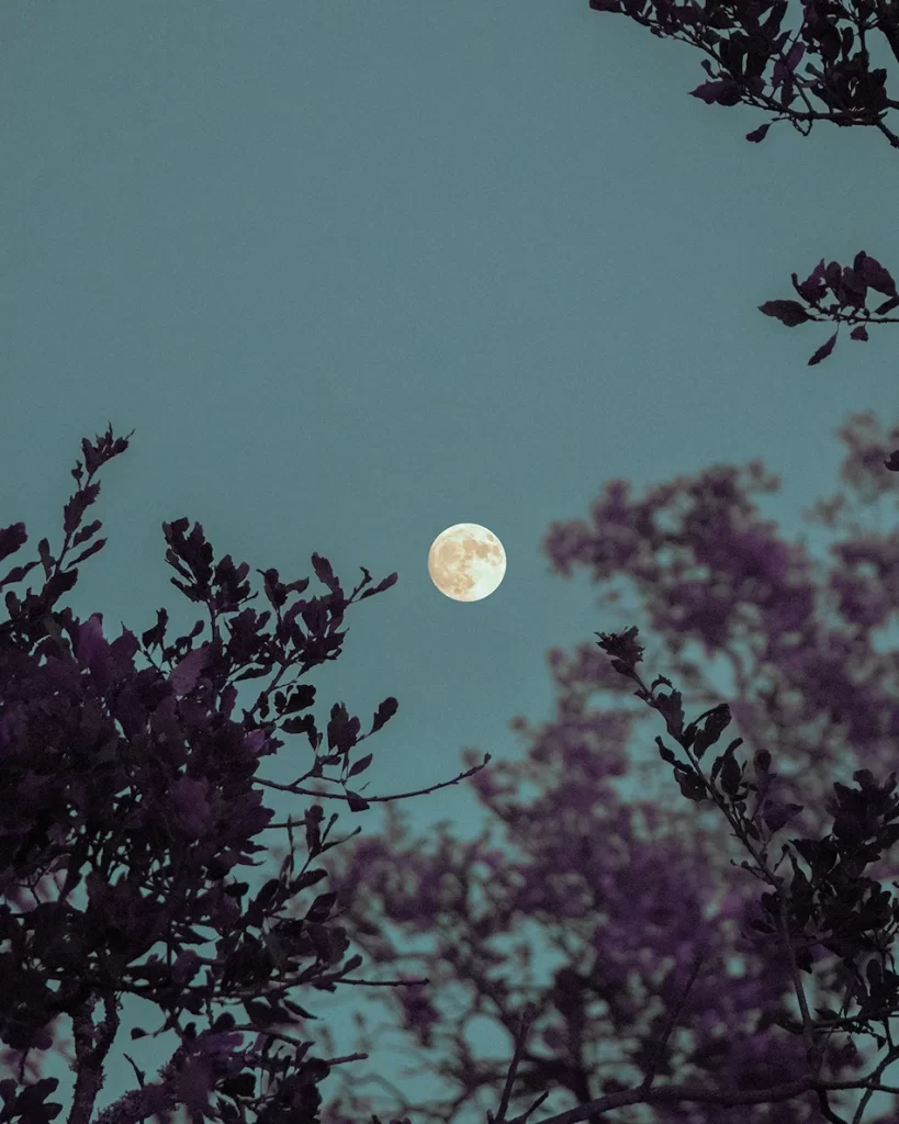 Ode às noites quentes de verão, ao luar e às emoções
